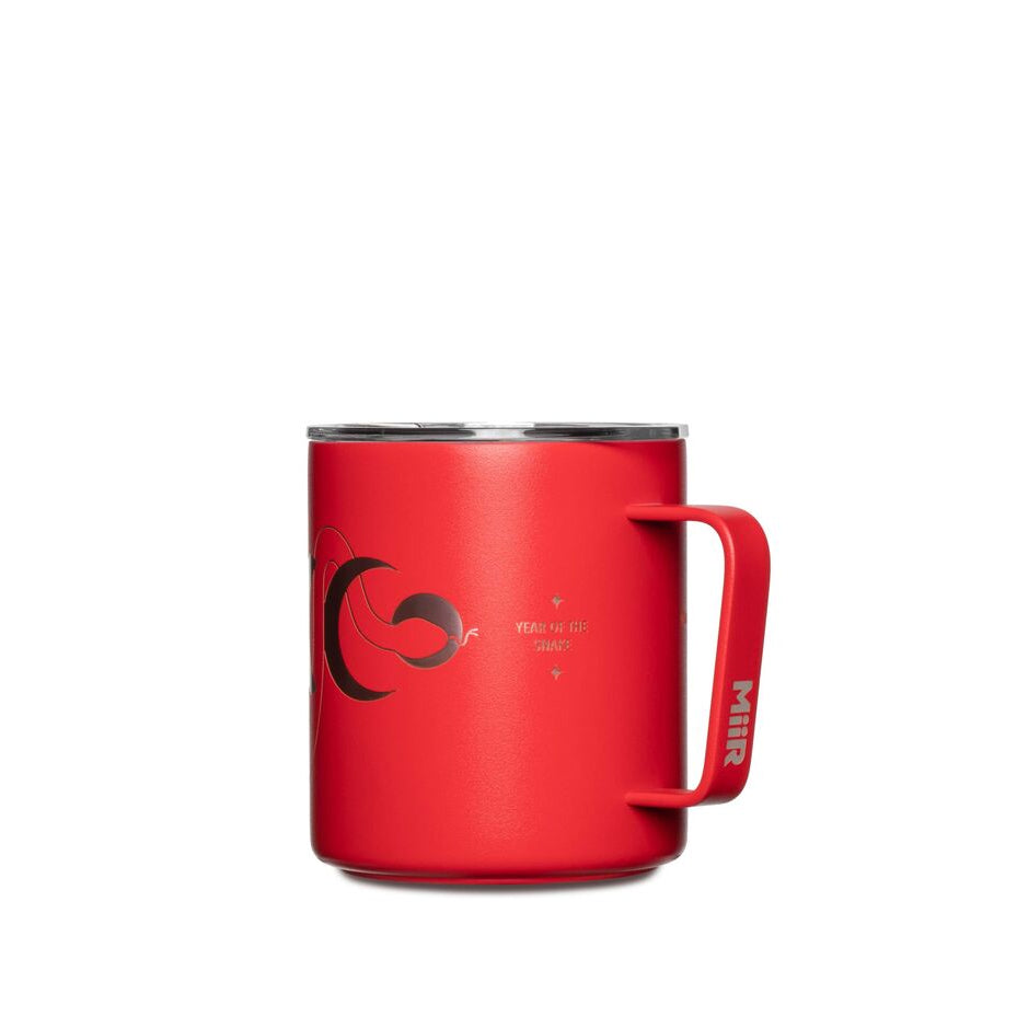 2025 Lunar New Year Camp Cup P4